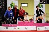  - Molly 3rd Best in Show Champion at the CACIB in Bourges