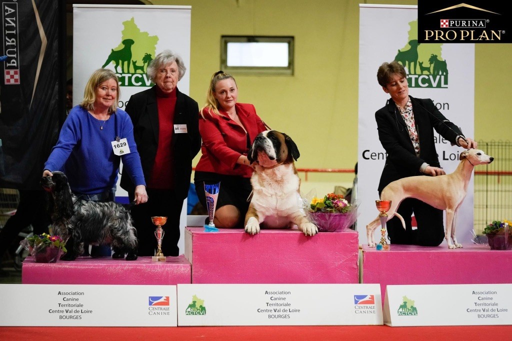 Blue Vroland - Molly 3rd Best in Show Champion at the CACIB in Bourges