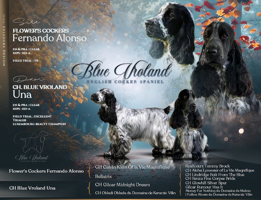 Blue Vroland - Fernand et Una